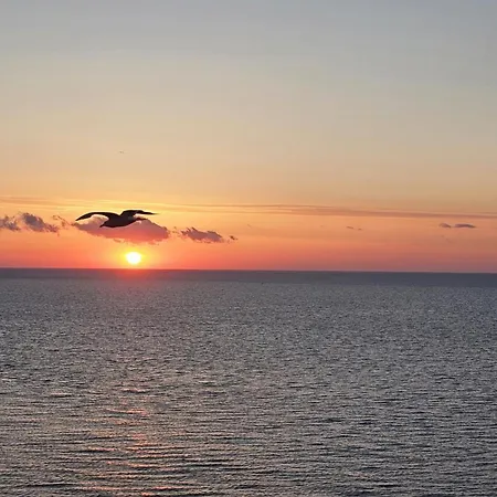 Starshine Spectrum 康斯坦察