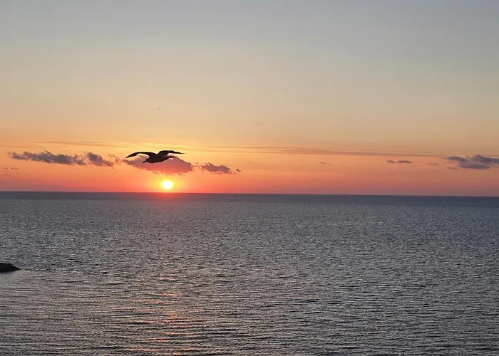 Starshine Spectrum Constanta